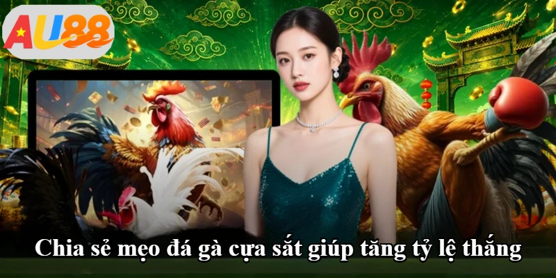 Chia sẻ mẹo đá gà cựa sắt giúp tăng tỷ lệ thắng Chia sẻ mẹo đá gà cựa sắt giúp tăng tỷ lệ thắng