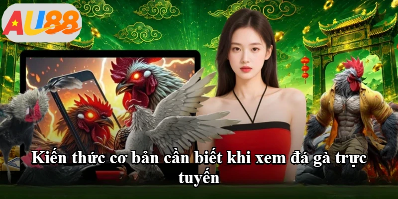 Kiến thức cơ bản cần biết khi xem đá gà trực tuyến