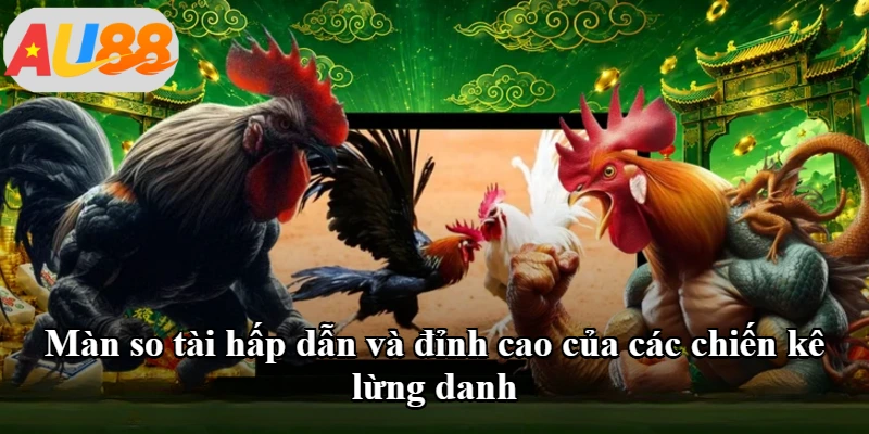 Màn so tài hấp dẫn và đỉnh cao của các chiến kê lừng danh