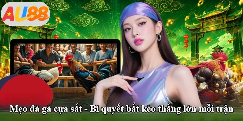 Mẹo Đá Gà Cựa Sắt - Bí Quyết Bắt Kèo Thắng Lớn Mỗi Trận