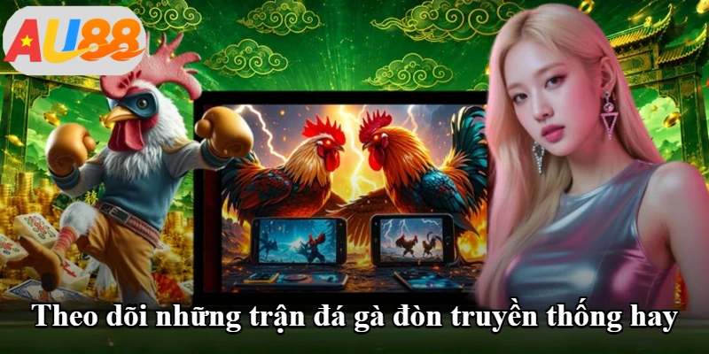 Theo dõi những trận đá gà đòn truyền thống hay