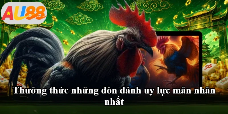 Thưởng thức những đòn đánh uy lực mãn nhãn nhất